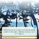 충남 태안 용신마을