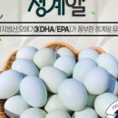 홍성 청계닭 농장