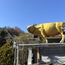 바래기한우정육점 이미지