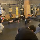 대한권투분당 이미지