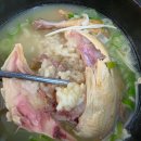 원주 흑염소 염소탕, 삼계탕 맛집 추천! 흑염소 전문점 "마시마니흑염소 관설동점" 후기
