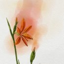 팡팡태양광 이미지