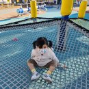 조아조아놀이터 | 대구 근교 고령 아이조아꿈놀이터 이용후기와 방문팁