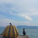 섬섬하우스 | 일본 다카마쓰 나오시마섬 베네세 하우스 뮤지엄 탐방 후기