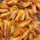 오늘 두시 | 🏕 용인 기흥호수 근처 셀프바베큐장 캠프오후두시 방문후기 (외부음식 반입가능 바베큐장)