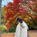 둔산대공원 입구(버스정류장) | 서울대 안양 수목원 경기도 단풍 명소 후기 주말 주차