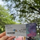 광명동굴 이동형 관광안내소 | 광명 아이와 가볼만한곳 더운 여름 피서지 실내 데이트 광명동굴