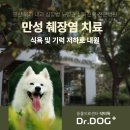 Dr.dog동물의료센터 | 일산동물의료센터 강아지 만성 췌장염 사례와 치료 방법
