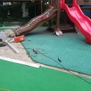 대저유치원 이미지