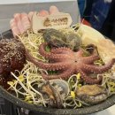 효산동물병원 | 뚱땡이는 이번달까지만 할께요.