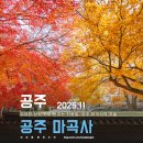 마곡사4 | 유네스코 세계유산 공주 마곡사 단풍