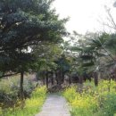 물소낭밧작은집 이미지