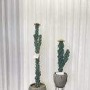 석주농장 이미지