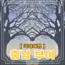 [충남 부여 당일치기] 결혼 1주년 기념 여행(장원막국수, 성흥산성사랑나무, 시골통닭 솔직후기)