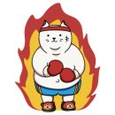 K다이나믹 복싱 이미지