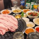 금고기마포