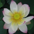김길우 이미지