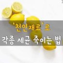 천연재료로 각종 세균 죽이는 법 이미지