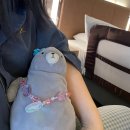 딸과 함께하는 후쿠오카여행 3탄_호빵맨박물관, 이쿠라