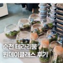 테라 | 순천테라리움 원데이클래스 테라코브 후기