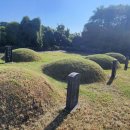 동일리-6 이미지