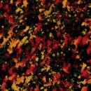 세계청년광장 내 이미지