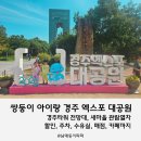 경주타워 전망대부터 새마을 관람열차 할인 주차 수유실 매점 카페까지 쌍둥이 아빠의 코스 따라오세요.
