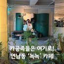 연남동 주차 가능한 대형 카페 녹녹 후기! 노트북 하기 좋은 카공 맛집