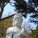 월봉사 - 1558 | 월봉사