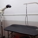 더 퍼피즈 블루 오션 쿡 이미지