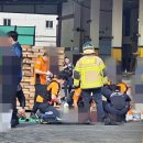 동호동 수협 앞 이미지