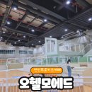 오헬모에드 이미지