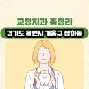 사랑나무치과의원 | 경기도 용인시 기흥구 상하동 교정치과 총정리