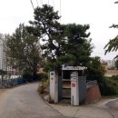 현대영일자동차 이미지