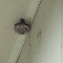 동서울 승마장 이미지