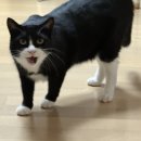 추오정남원추어탕 광교점 이미지