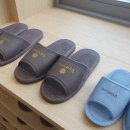 임설혜한의원 이미지