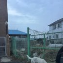 국장이차린밥상 네이버블로그