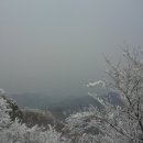 수우 Daum카페