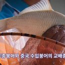 동영낚시터 이미지