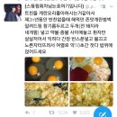 호시라멘 네이버블로그