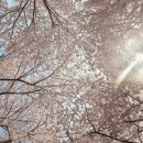 굽네치킨개금점 이미지