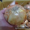 신왕농장 이미지