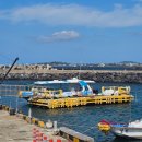 UR(서귀포시)-[동일하모로]-상-7 | 제주도 태교여행 ① : 돌고래힐링투어, 산방산, 워터월드, 신신호텔, 숯검댕이