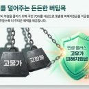더드림약국