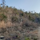 남해-188 이미지