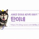 스킨앤이어동물병원 이미지