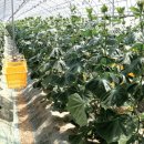 동이농장 이미지