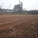 관리농장 이미지