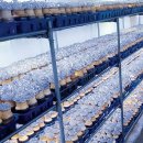 주식회사 경진유통 이미지